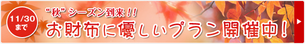 お財布に優しいプラン開催中！